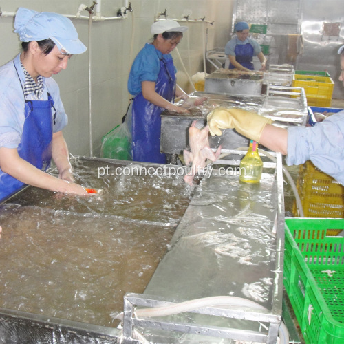 Equipamento de processamento de codornas